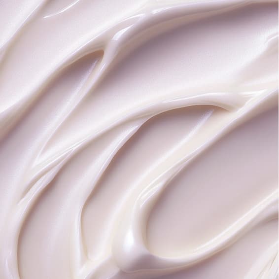 6 *60 minutes* Women’s Package at Liftelle Studio in Tampa, FL