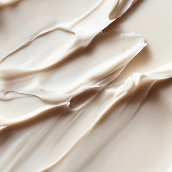 10 *60 minutes* Women’s package at Liftelle Studio in Tampa, FL